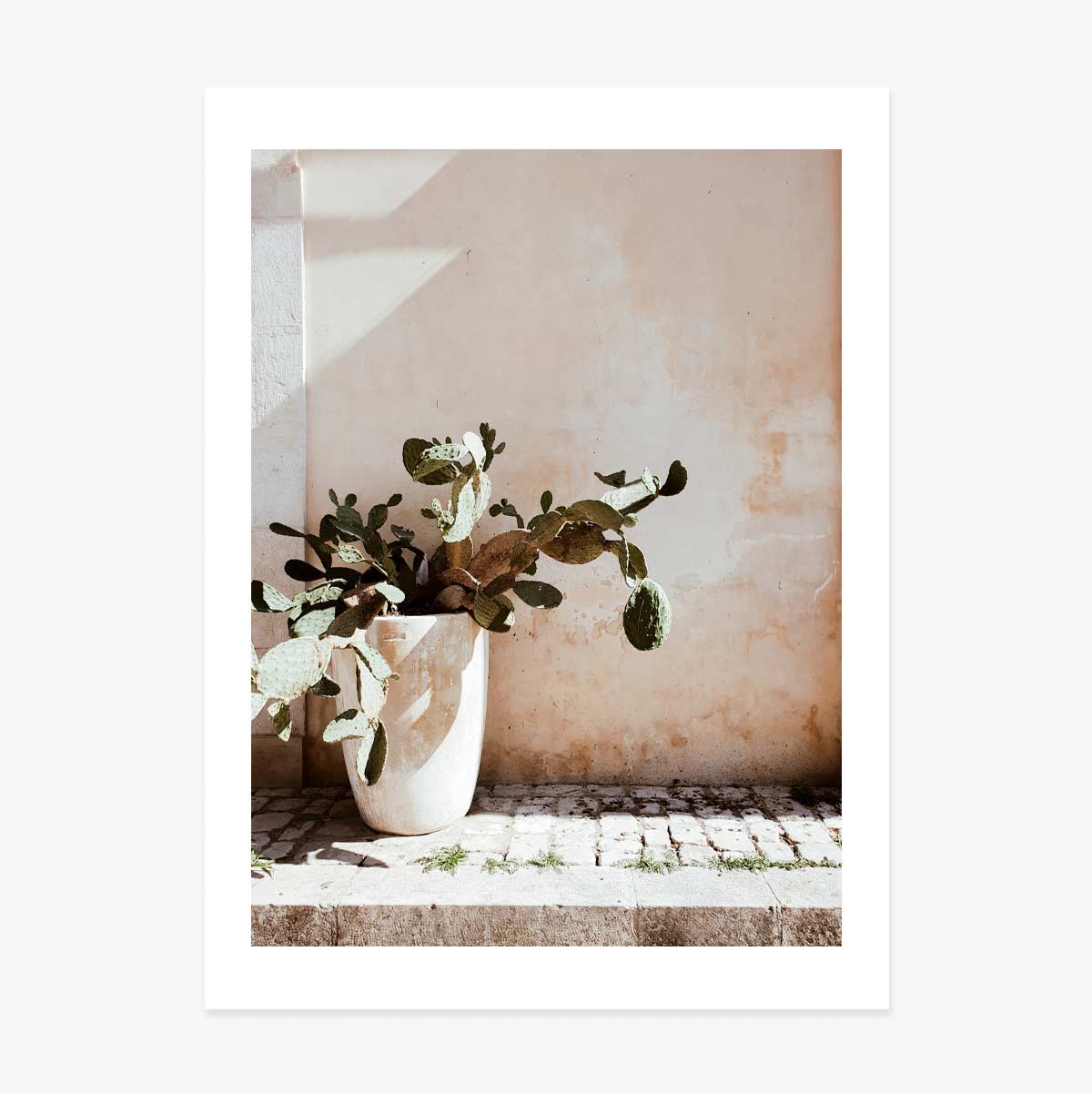 Affiche « Cactus »