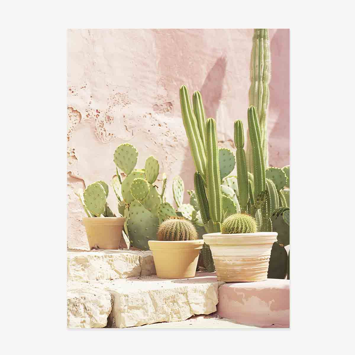 Affiche « Cactus »