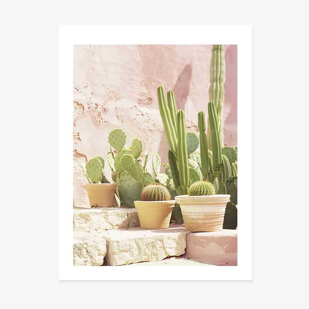 Affiche « Cactus »