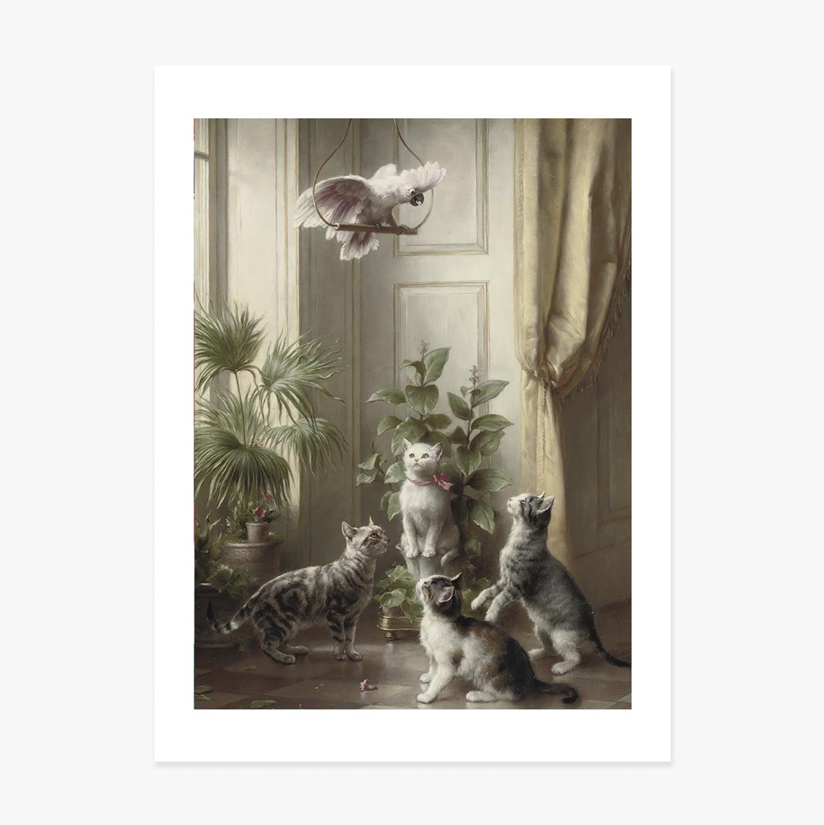 Affiche de Carl Reichert, « Chats et cacatoès », 1898
