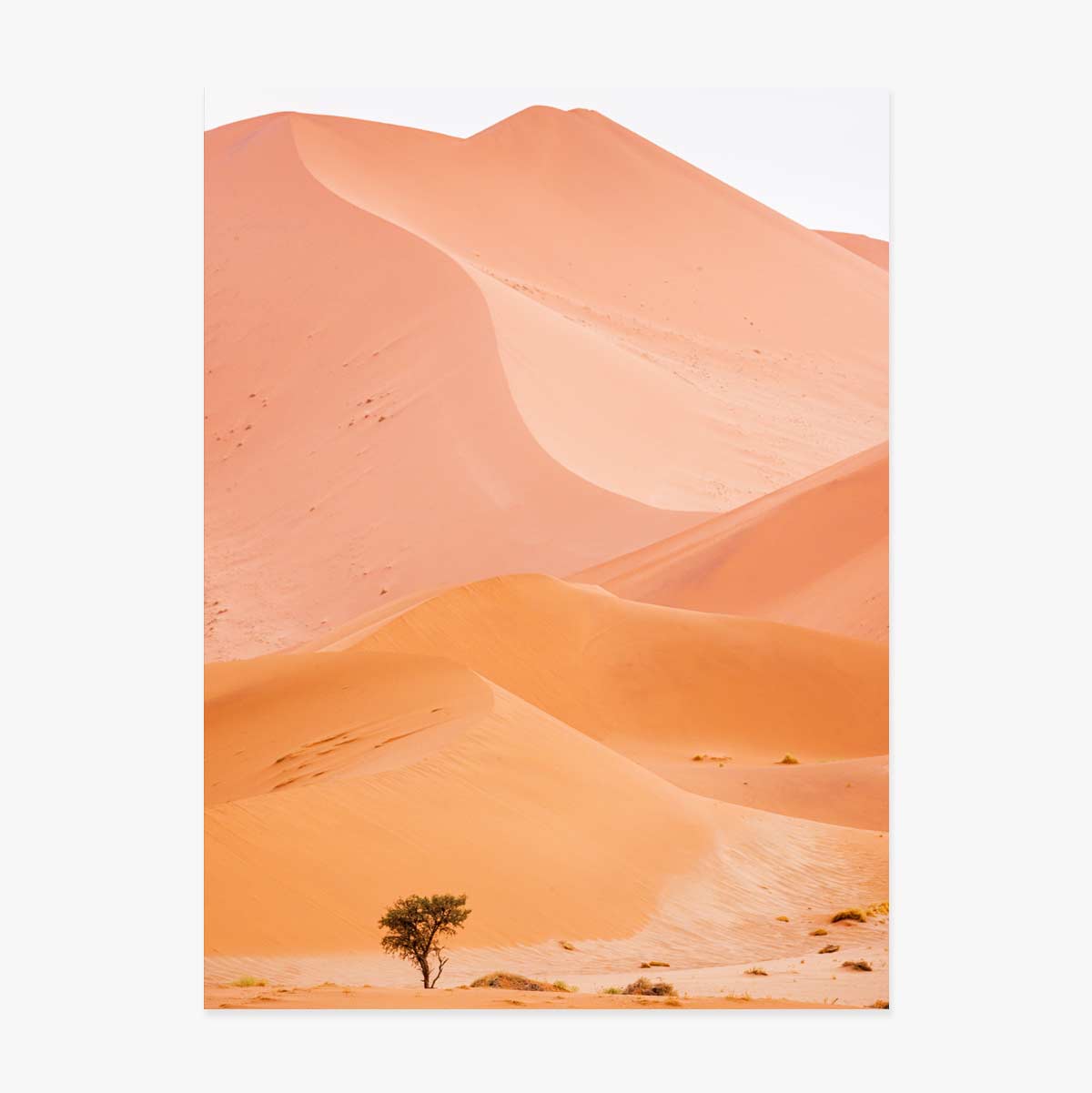 Affiche « Dunes »