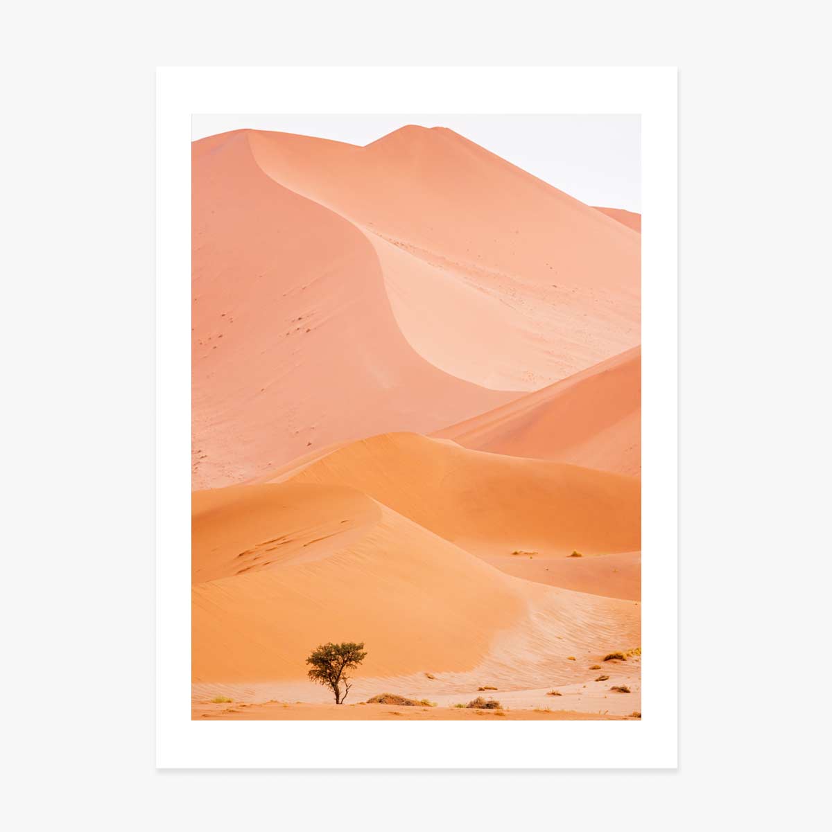 Affiche « Dunes »