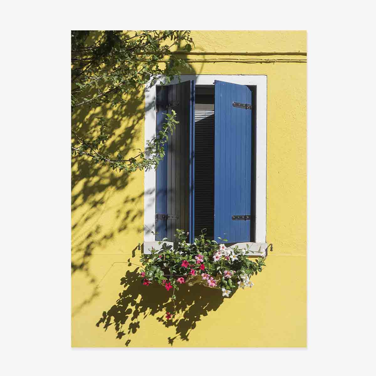 Affiche « La fenêtre bleue aux fleurs »