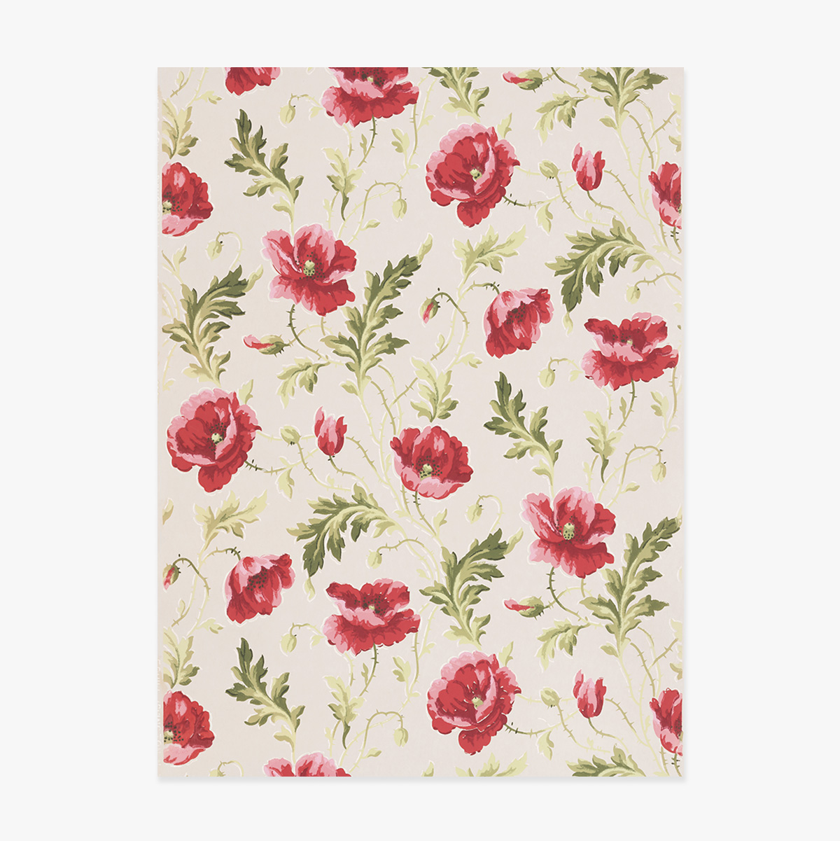 Affiche « Fleurs roses »