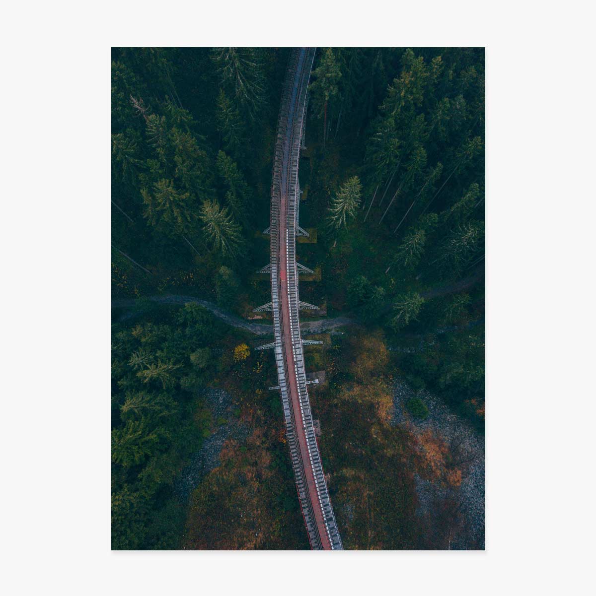 Affiche « Forest »