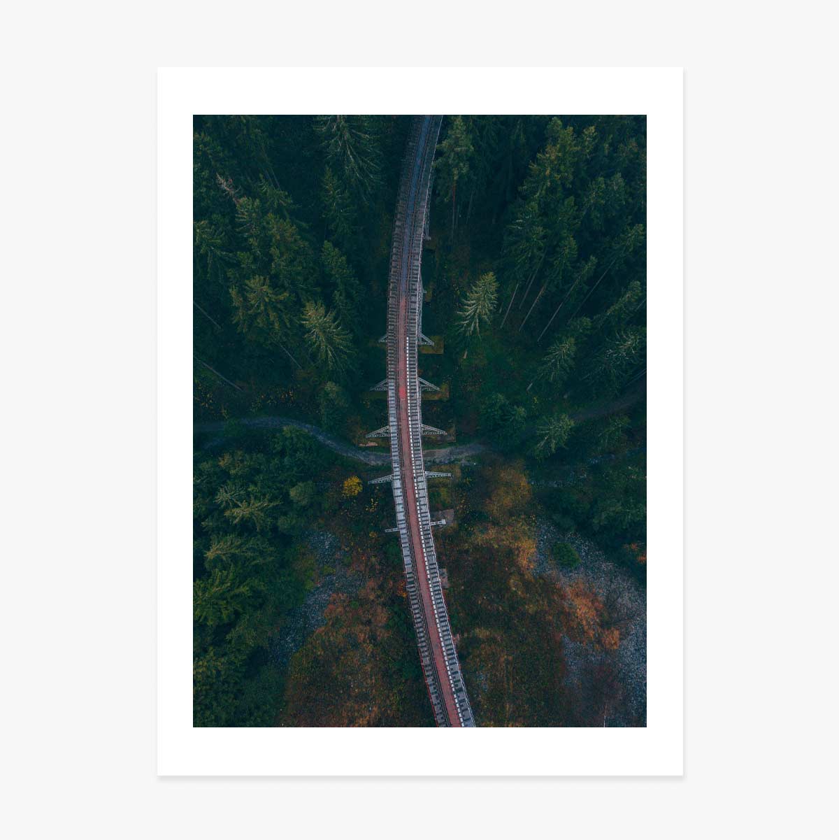Affiche « Forest »