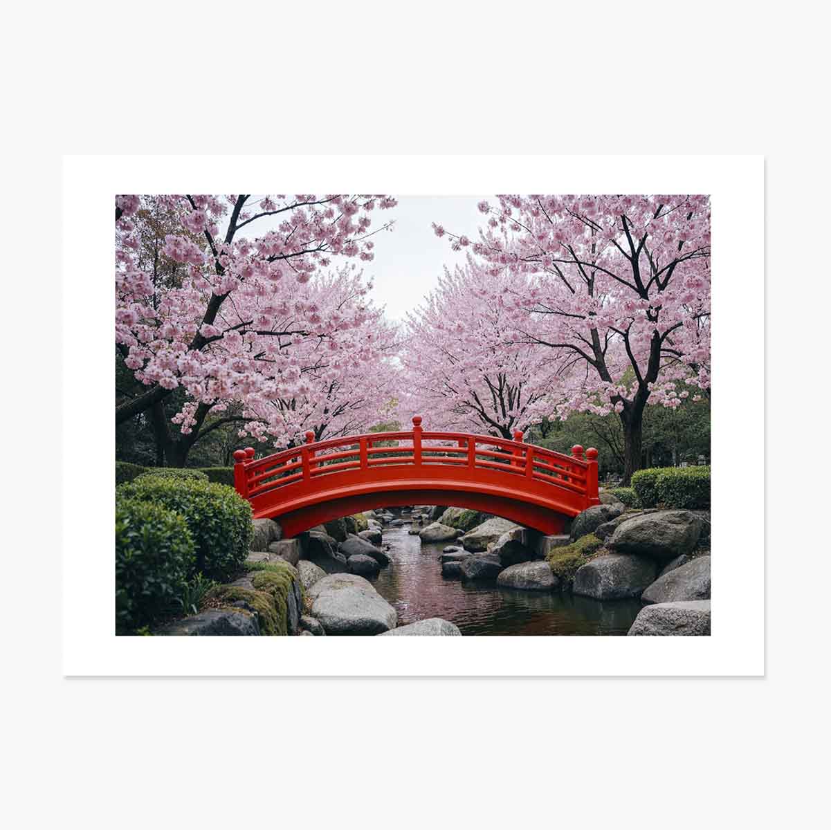 Affiche « Jardin japonais » - Cerisiers en fleurs