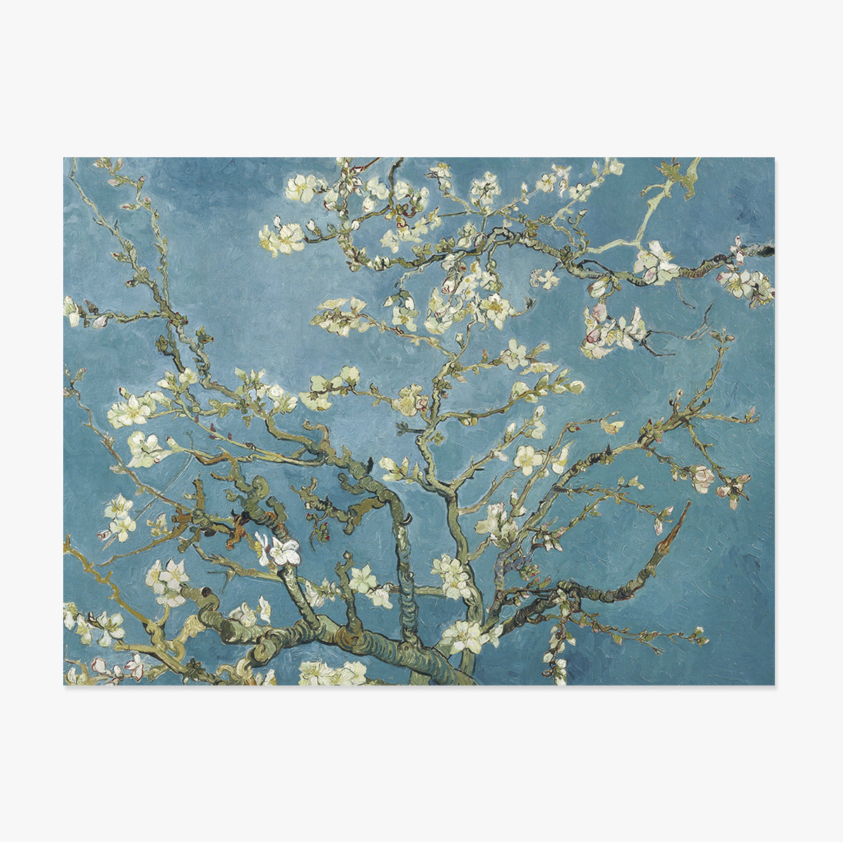 Affiche au format paysage - Vincent Van Gogh - Branches d