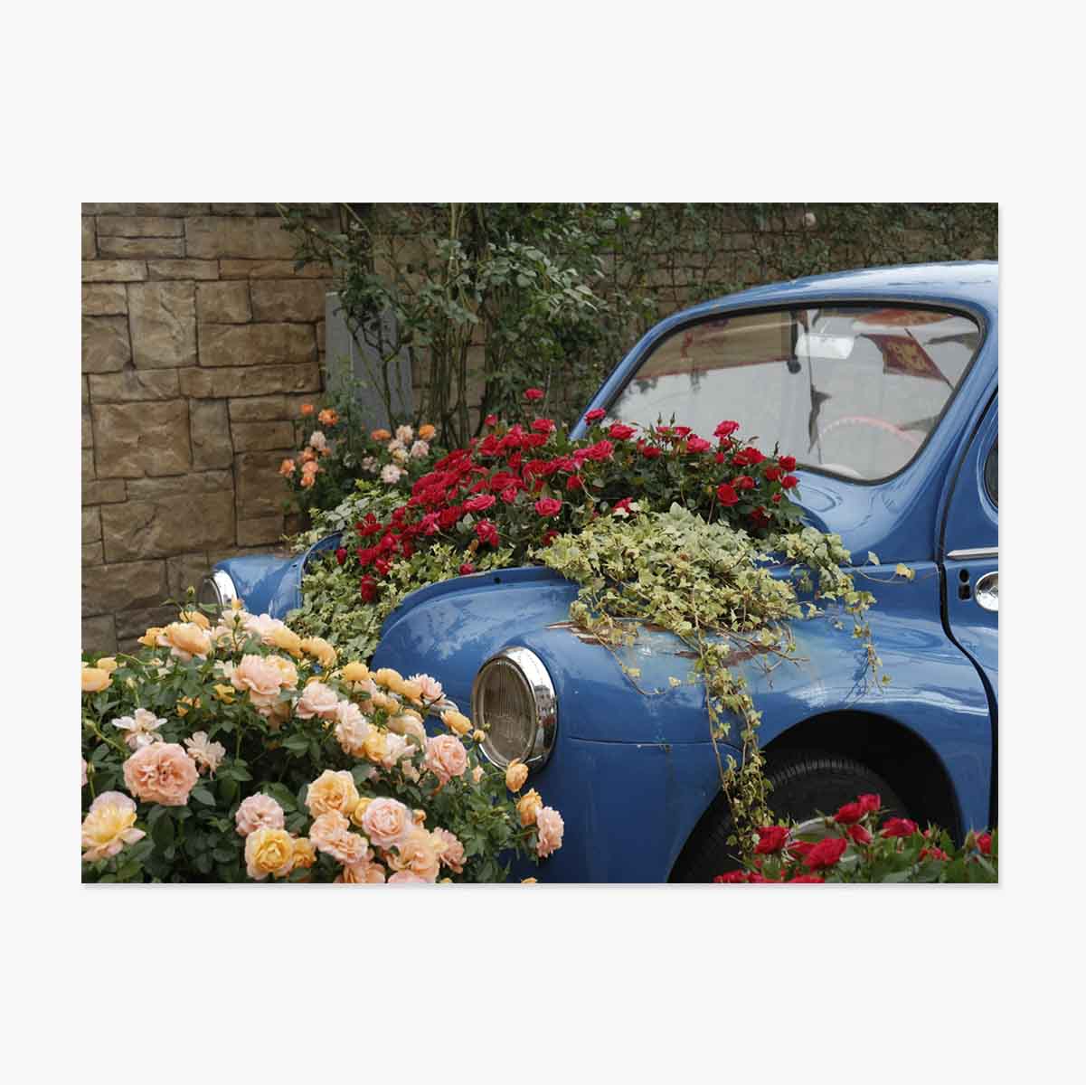 Affiche « Voiture bleue vintage avec des fleurs »