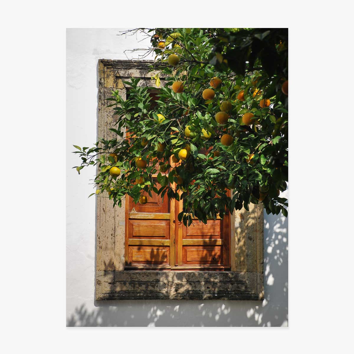 Affiche « Orange tree »