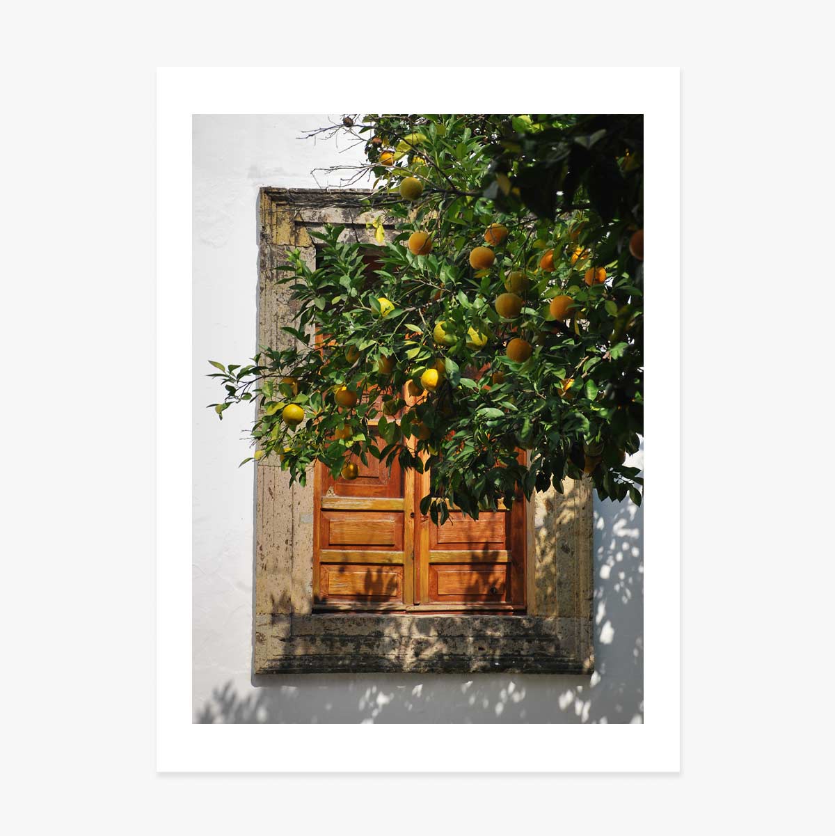 Affiche « Orange tree »