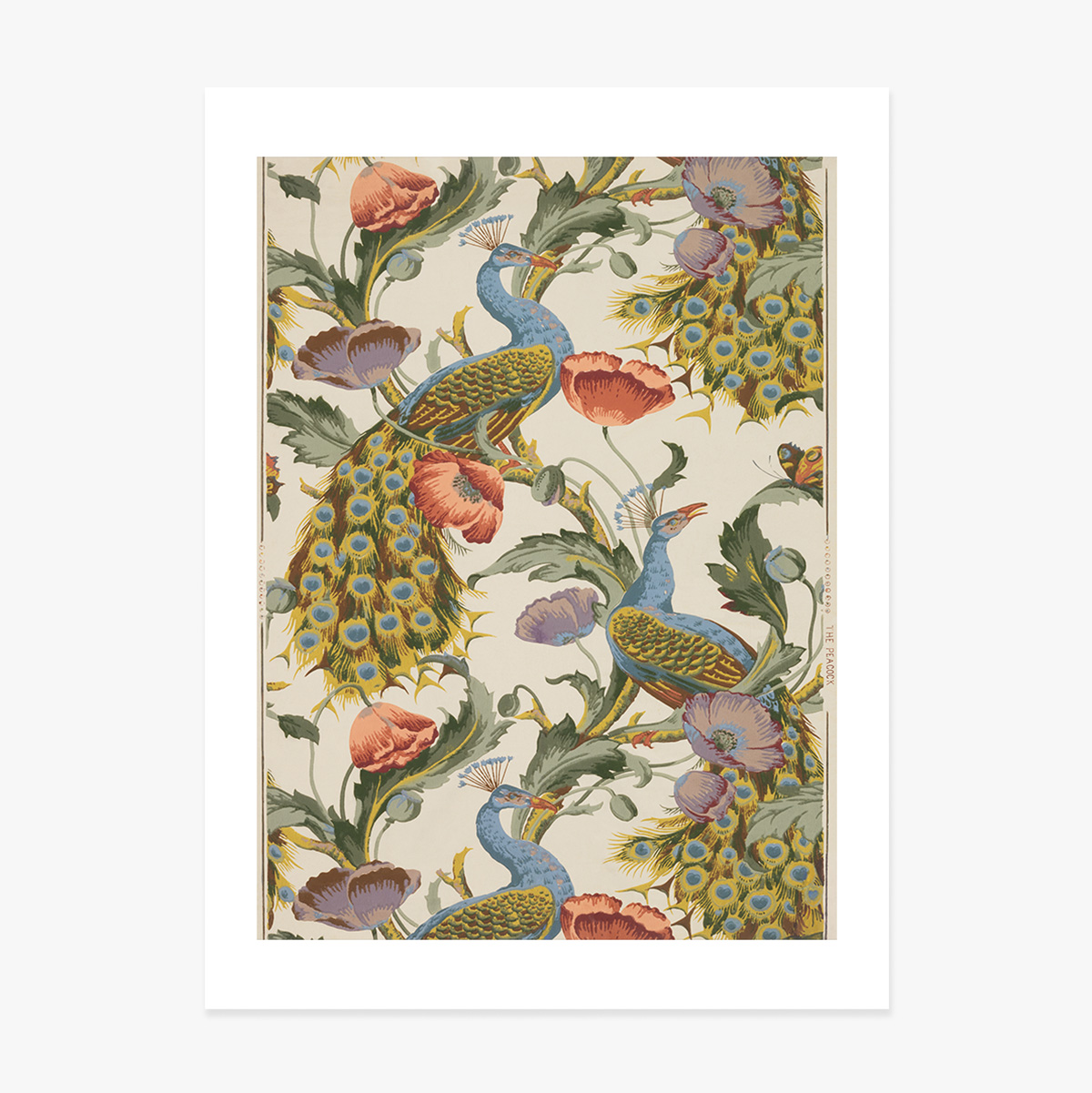 Affiche vintage « Paons et coquelicots »