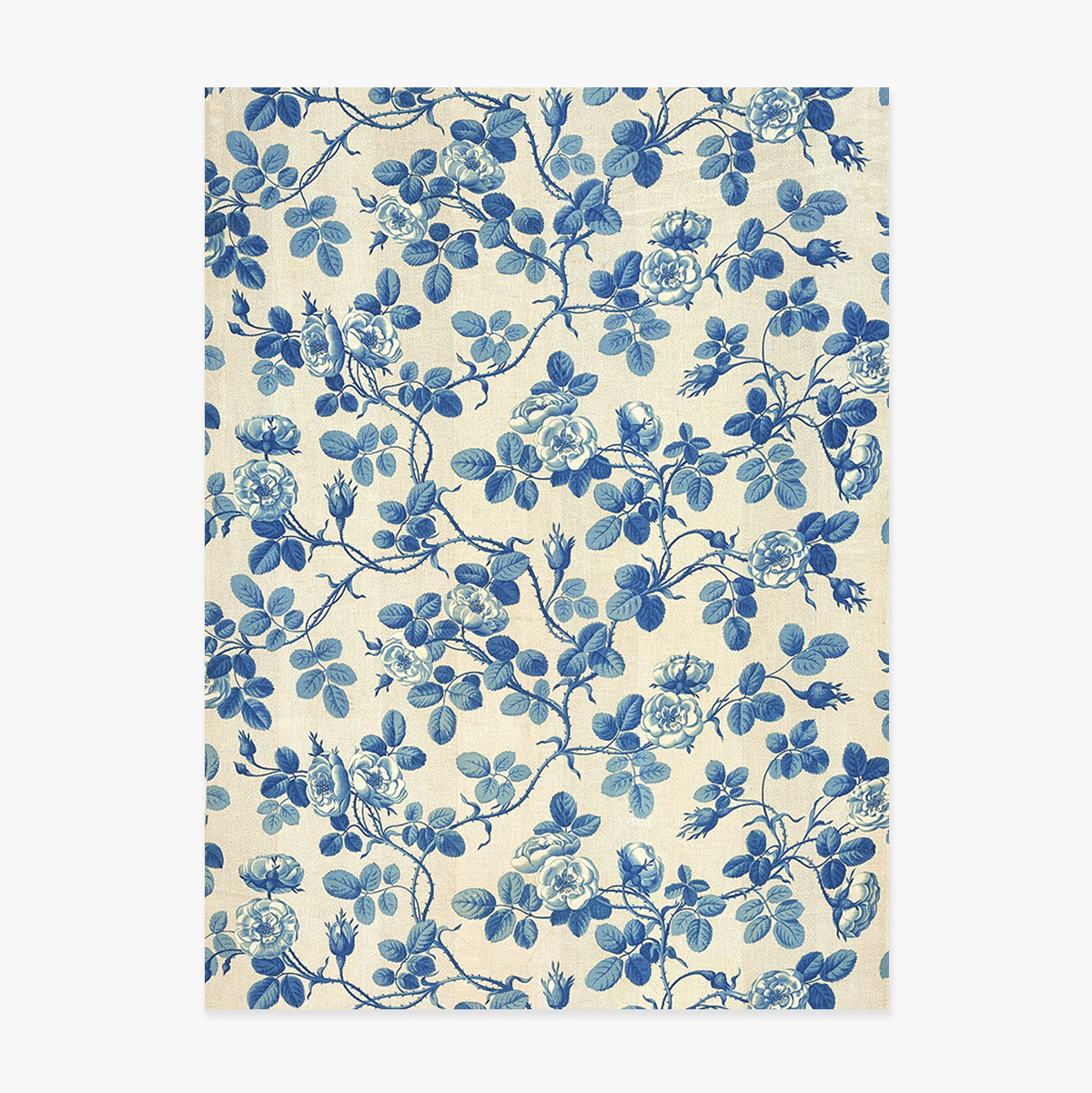 Affiche « Plantes bleues »