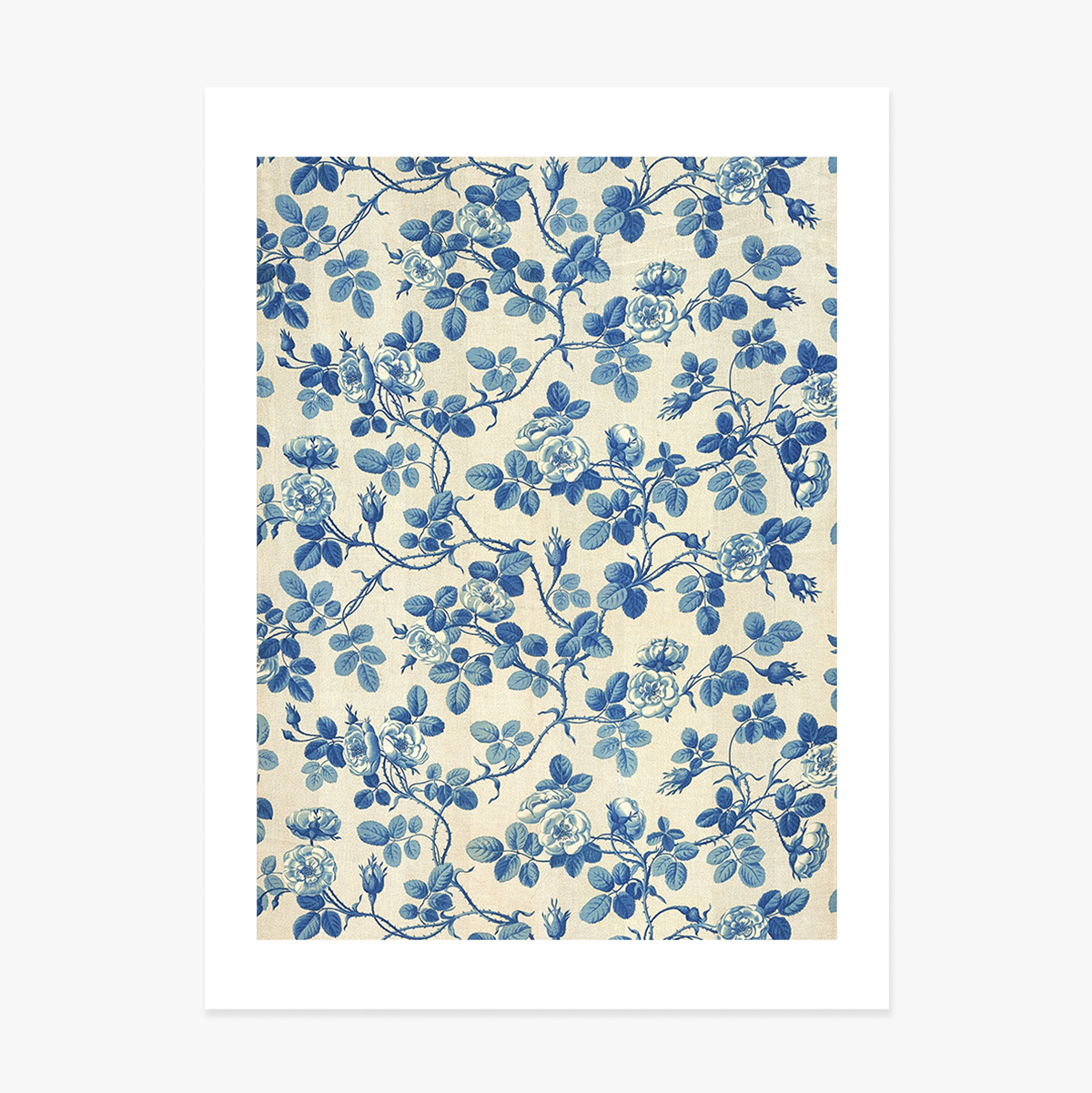 Affiche « Plantes bleues »