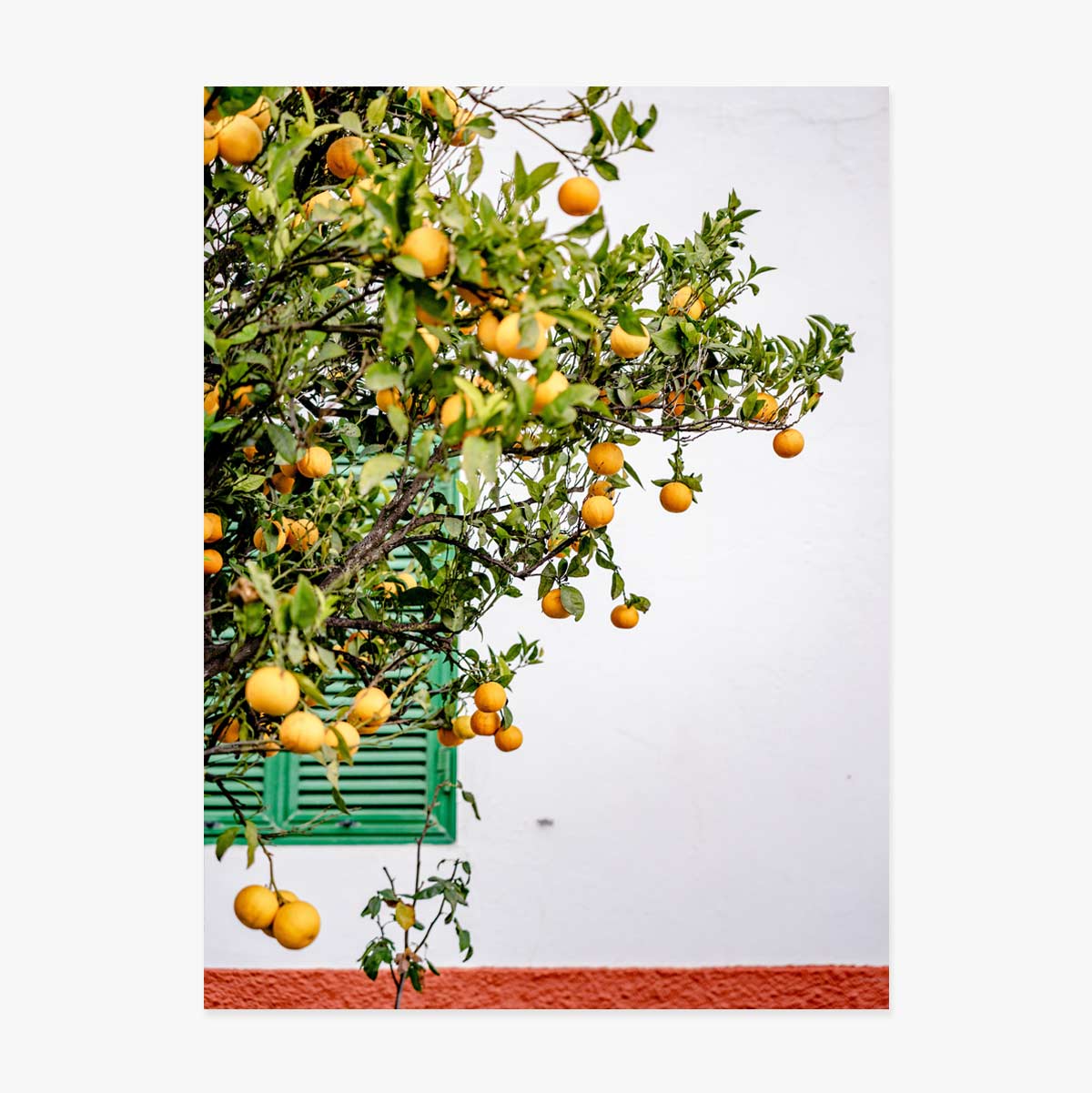 Affiche « Tangerines »