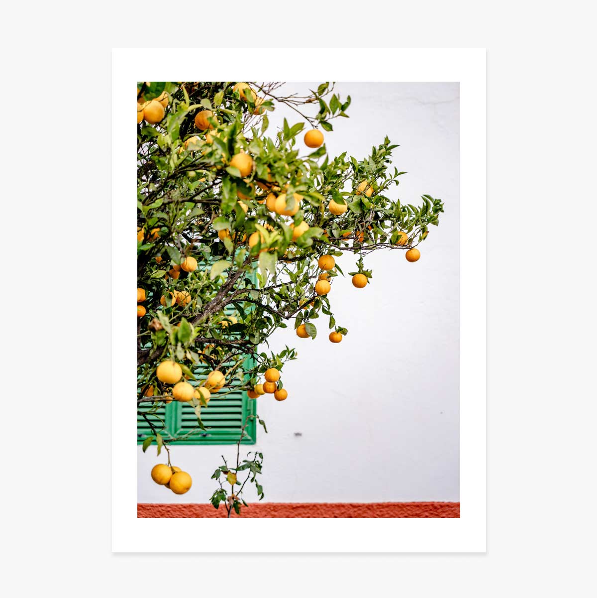 Affiche « Tangerines »