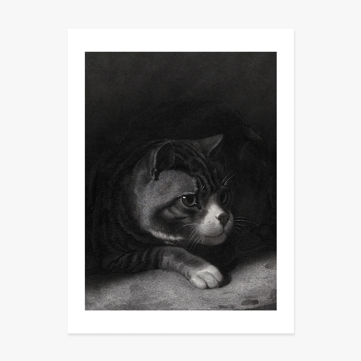 Affiche de William Gil, « Le chat vigilant scrutant les ombres », 1855
